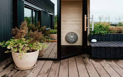 Sauna or Steam Room for Women: Which is Better? This Easy Guide Helps You Choose Now.