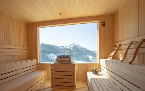 Where can you find a reliable Sauna Heater? Top places to buy a quality Sauna Heater that lasts long!